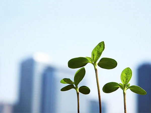 注冊(cè)開曼公司的優(yōu)勢(shì)