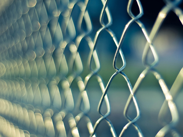 電子商務(wù)及網(wǎng)絡(luò)應用策略