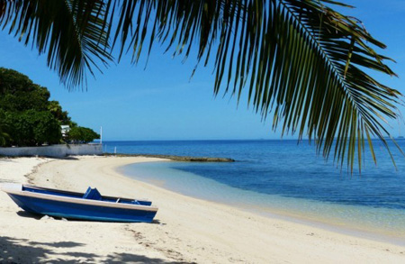 海南自貿(mào)港的發(fā)展優(yōu)勢