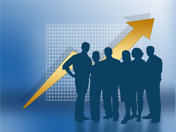 澳門公司的類型