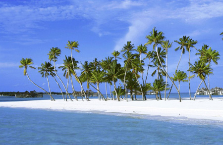 注冊美國本土公司和離岸公司有什么不同呢?