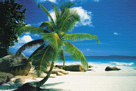 注冊塞舌爾公司的優勢?