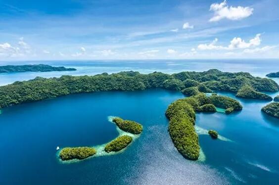 經(jīng)濟實質(zhì)法案的背景