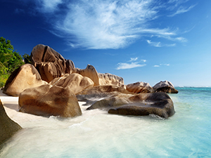 BVI公司和開(kāi)曼公司該如何選擇