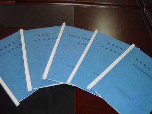 影響香港公司審計(jì)審核質(zhì)量的要素