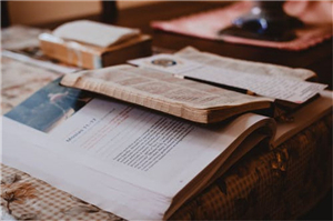 巴拿馬公司年審時間