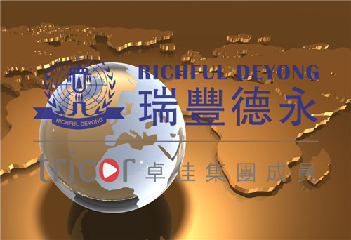 新加坡的業務結構類型