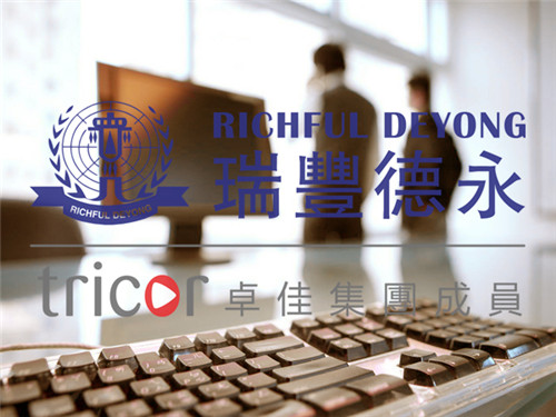 VIE架構的稅務考量