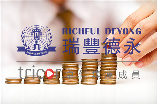 德國(guó)公司稅收